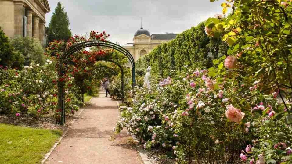 來自巴黎的花園派對