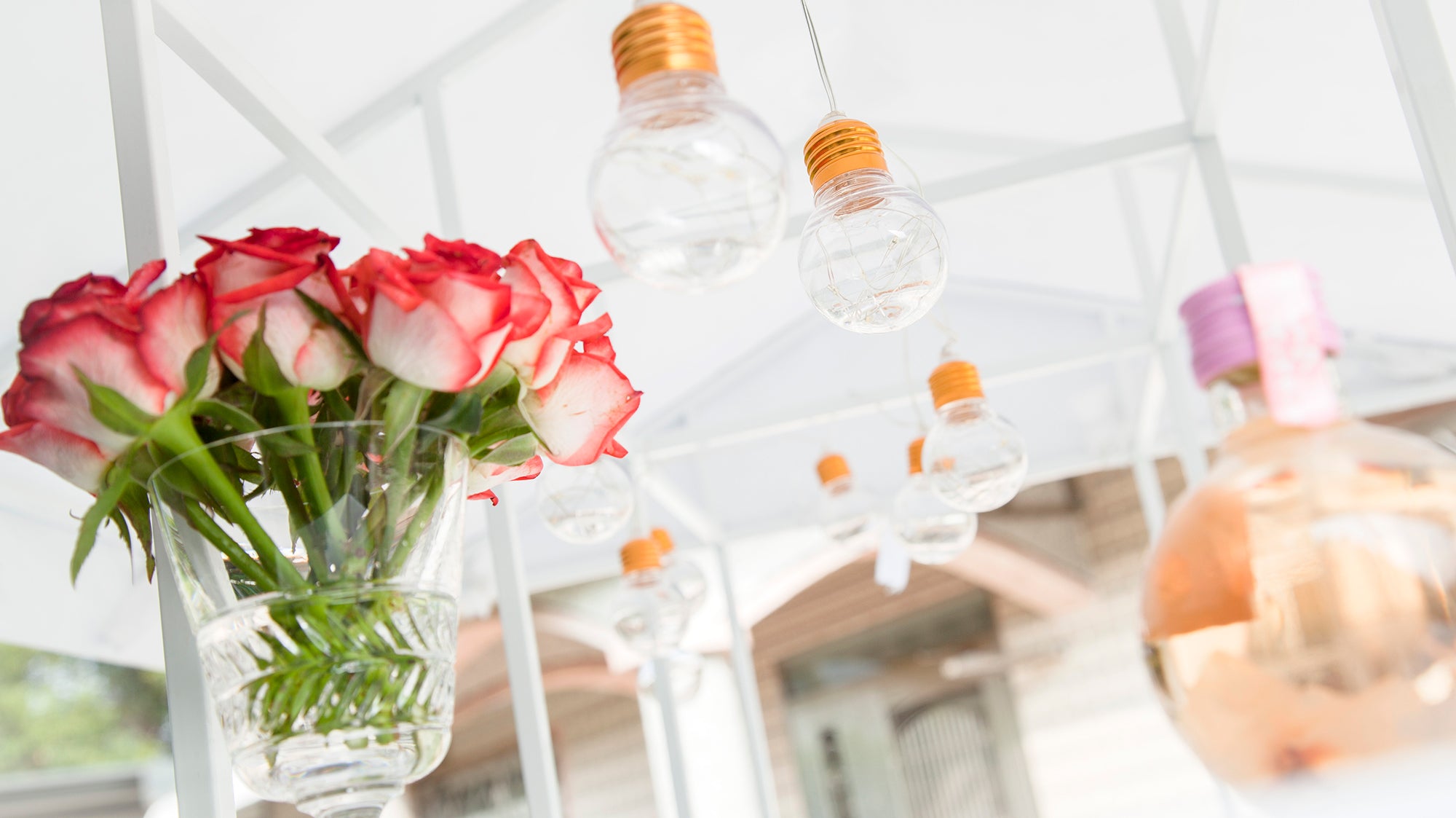 最受歡迎的 M88003 花園派對