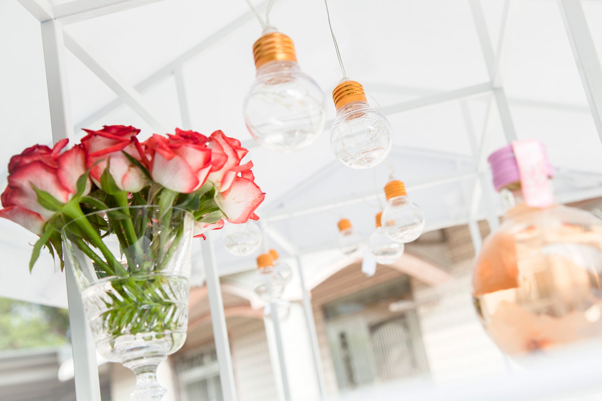 最受歡迎的 M88003 花園派對